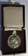 Médaille  Alliance Syndicale Du Commerce Et De L'industrie - Firma's