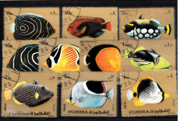 Fujeira - 10 Timbres Oblitérés 1973 - Poissons (fish) - Fujeira