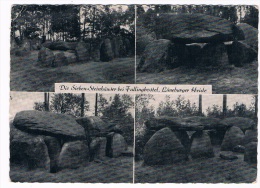 D3986     FALLINGBOSTEL : Die Sieben Steinhäuser ( Hunebed,Dolmen, - Fallingbostel