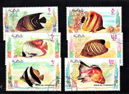 Ras Al Khaima - 6 Timbres Oblitérés - Michel N° 628/633 - Poissons (fish) - Ras Al-Khaima