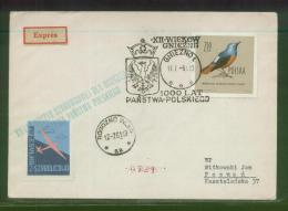 POLAND 1961 12TH GLIDER FLIGHT FOR 1000 YEARS OF POLAND GNIEZNO ROGOZNO WIELKOPOLSKA COVER 6 TOWN CREST GREEN CACHET - Gliders