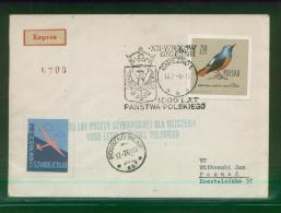 POLAND 1961 12TH GLIDER FLIGHT FOR 1000 YEARS OF POLAND GNIEZNO ROGOZNO WIELKOPOLSKA COVER 6 TOWN CREST GREEN CACHET - Covers & Documents