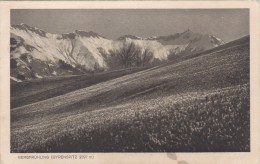 SCHIERS   BERGFRÜLING - Schiers