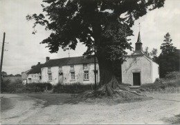 Pont-a-Celles :  Chapelle ND De Grace (  Grand Format  ) - Pont-a-Celles