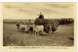 Carte Postale Ancienne Réalville - Le Foyer Des Indirectes. L'exploitation Agricole: La Fenaison - Agriculture, Attelage - Realville