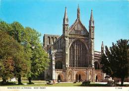 CPSM Winchester Cathedral    L1450 - Winchester