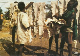 AFRICA IN COULEURS 7365 IRIS-Sachage Des Peaux De Serpents, Draying Of Snakes Skin, Vintage Old Postcard - Non Classés