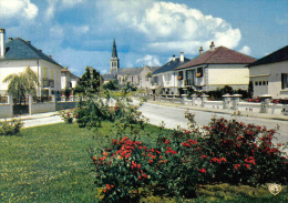 Carte Postale 53. Louverne  Rue Des Rosiers  Trés Beau Plan - Louverne