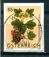 Autriche 2007 - YT 2507 (o) Sur Fragment - Used Stamps