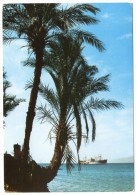 JORDAN - AQABA BEACH / THEMATIC STAMP-FLAGS-PAKISTAN - Jordan