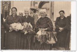 LANDIVISIAU                   AU  MARCHE           MARCHANDES     DE       POULETS - Landivisiau