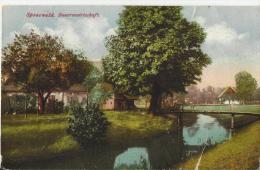 =DE AK  1911 SPEERWALD - Luebben (Spreewald)