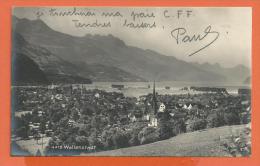 FEL173, Wallenstadt, Walenstadt, 4475, Circulée Poste De Campagne - Walenstadt