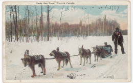 CPA HUSKY DOG TEAM - WESTERN CANADA - Other & Unclassified