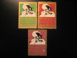 Delcampe - SALZBURG Max Swatfchek Toro Toros Cow Bull Austria 3 Poster Stamp Label Vignette Viñeta - Kühe