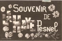 LA HAYE PESNEL - SOUVENIR 1905 - Sonstige & Ohne Zuordnung
