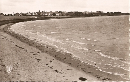 île D'ARZ - Plage De La Falaise - éditions Du LYS - Années 50 - VENTE DIRECTE - Ile D'Arz