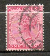 NATAL  Victoria 1p Rose 1874-80 N°29 - Natal (1857-1909)