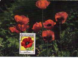 R-131, Maxima, Maximun Bulgaria 1976 , Plantas Medicinales - Storia Postale