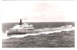 Niederlande - Koninklijke Rotterdamsche Lloyd  - SS  " DOELWIJK "  - Schiff - Ship - Tanker - Tanker