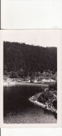 Vallée De Munster (Haut-Rhin) Lac Du Schiessrothried - Lac - VOIR 2 SCANS - - Munster