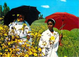 Afrique >ETHIOPIE ETHIOPIA Young Ethiopian Girls Among Maskal Flowers (photo By Kyriazis Zervos) *PRIX FIXE - Ethiopië