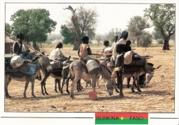 BURKINA FASO - Province De SANIMATENGA - Le Déplacement De Toute La Famille à Dos D'Ane - C-3 - Burkina Faso