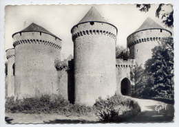 Env  De Bagnoles De L'Orne--LASSAY LES CHATEAUX--Vue D'ensemble ,cpsm 10 X 15 N° 135 éd Artaud - Lassay Les Chateaux