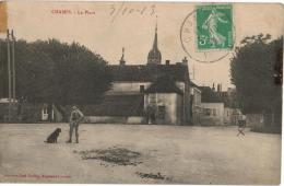 Carte Postale Ancienne De CHAMPS - Champs Sur Yonne