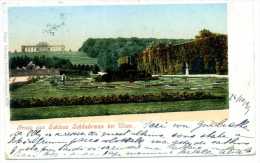 WIEN-VIENNA. Gruss Aus Schloss...... Posted C/fr. Per TRIESTE 1899. - Château De Schönbrunn