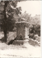 Corse - Vallée Du Taravo - Fontaine Rustique En 1964 - Ed Photo Yvan Tavernese De Marseille - Altri & Non Classificati