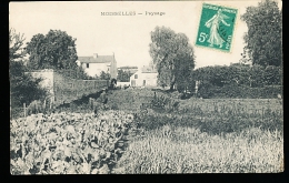 95 MOISSELLES / Paysage / - Moisselles