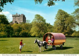 CPSM Ireland-Horse Drawn Caravan At Blarney Castle    L1452 - Cork