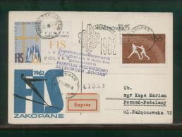 POLAND 1962 BOCIAN DELAYED GLIDER FLIGHT FIS PC CINDERELLA LABEL 2 PURPLE DELAY CACHET FIS SKIING CINDERELLA - Gliders