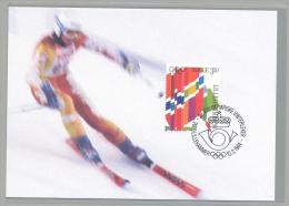 Norway - Olympic Games Lillehammer 1994 Maximum Card - 12.02.1994 - Alpine Skiing - Olympic Stamp - Winter 1994: Lillehammer