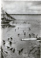 CPA PHOTO     BRESIL BELEM  -   VAUTOURS AU BORD D UN PETIT BRAS DU DELTA DE L AMAZONE - Belém