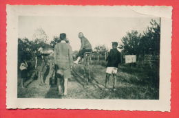 135676 / REAL PHOTO - Parallel Bars Barres Parallèles Barren (Turngerät) Gymnastics Gymnastique  Gymnastik - Bulgaria - Gymnastique