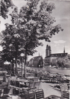 SUISSE,HELVETIA,SWISS,SCHWEIZ,SVIZZERA,SWITZERLAND ,ZURICK,ZURI,ZURIGO,INSEL RESTAURANT,BAUSCHANZLI,TE RRASSE,CHAISE - Zürich