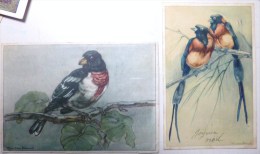 Cp LOT 2X Litho Illustrateur SIGNE Avros N° 301 ET 320 Vogel Serie  Oiseau Oiseaux Voyagé 1948 Timbre Cachet Bruxelles - Colecciones Y Lotes