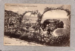 43594    Monaco,    Vue  Prise  Entre  Les  Fleurs,  NV(scritta) - Tarjetas Panorámicas