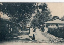 Sénégal    Casamance  Bignona - Sénégal