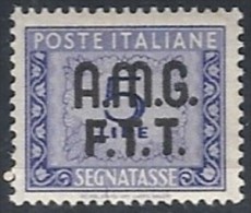 1947-49 TRIESTE A SEGNATASSE 2 RIGHE 5 LIRE MH * - RR11874 - Taxe