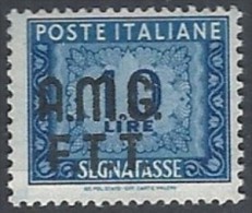 1947-49 TRIESTE A SEGNATASSE 2 RIGHE 10 LIRE MH * - RR11874 - Strafport