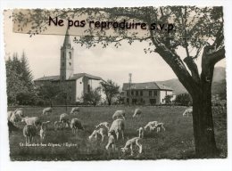 - St-ANDRÉ-les-ALPES - L'Eglise, Troupeau, Agneaux, Magnifique, Peu Courante, écrite, Grand Format, TBE, Scans. - Otros & Sin Clasificación