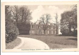 Z 1341    CHATILLON COLIGNY   CHATEAU DES SIRES DE COLIGNY - Chatillon Coligny