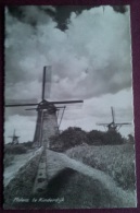 Pays Bas : MOLENS TE KINDERDIJK .CPA Photo 1957. - Kinderdijk