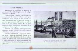 MOLFETTA - Fine ´800 - Estampes & Gravures