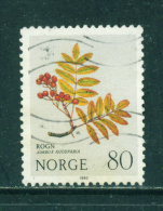 NORWAY - 1980  Flowers  80o  Used As Scan - Gebraucht