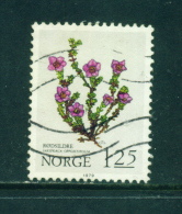 NORWAY - 1979  Flowers  1k25  Used As Scan - Used Stamps