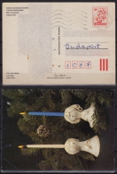 1987 HUNGARY - Narcissus  - CHRISTMAS  Tree / Angel - STATIONERY -  POSTCARD - Used - Ganzsachen